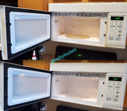 Before and After Microwave Cleaning in Riverview FL