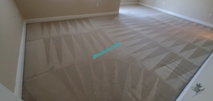 Newly Steam Cleaned Carpet in Valrico FL