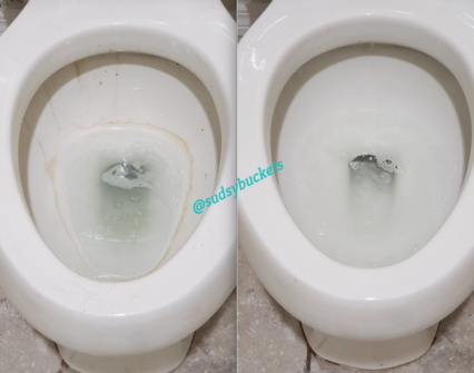 Toilet in Plant City, FL Before and After Cleaning