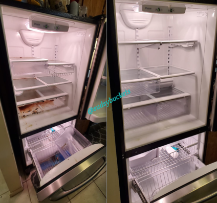 Image Before and After Fridge Cleaning in Seffner, FL