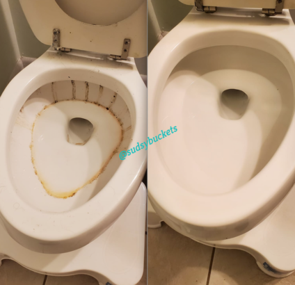 Before and After Toilet Cleaning in Riverview FL
