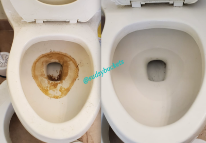 Before and After Toilet Ring Removal in Brandon