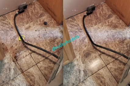 Images Before and After of Floor Behind Appliances in Apollo Beach Home