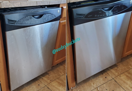 Image of Dishwasher Before and After Cleaning in Valrico, FL