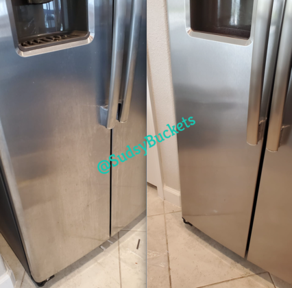 Comparison of Dirty and Newly Cleaned Fridge in Riverview, Florida