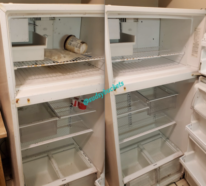 Fridge Before and After Cleaning Services in Seffner, Florida