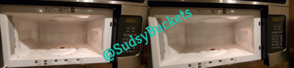 Before and After Microwave Cleaning in Lithia, FL