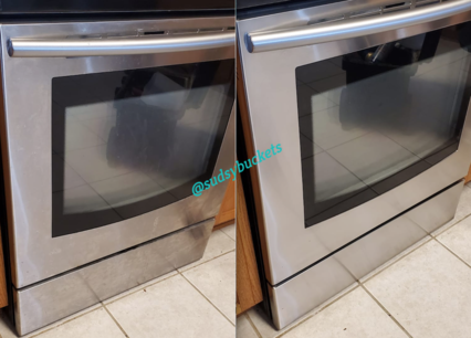 Newly Cleaned Oven in Tampa FL