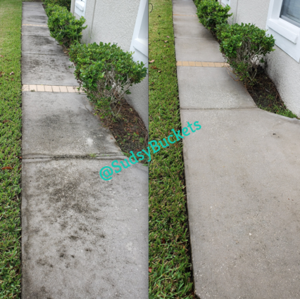 Riverview House Before and After Pressure Washing