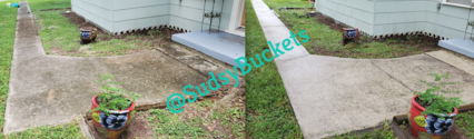 Before and After Pressure Washing in Valrico, FL