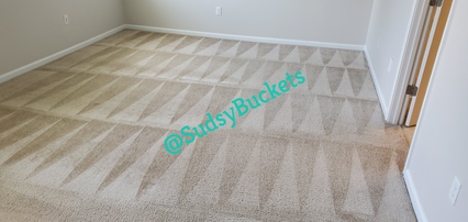 Carpet in Lithia, FL After Having Steam Cleaning Services