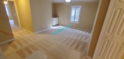 Riverview Apartment After Steam Carpet Cleaning