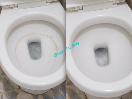 Before and After Toilet Ring Removal in Apollo Beach, FL