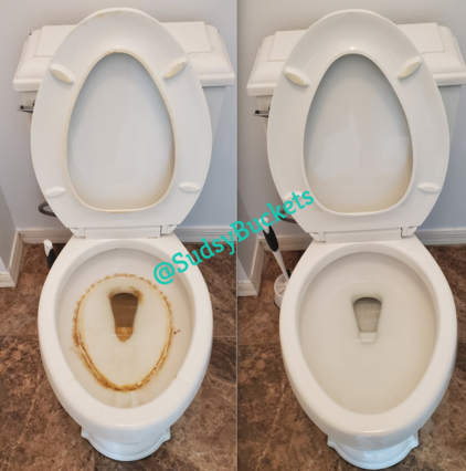 Before and After Toilet Ring Removal in Brandon, Florida