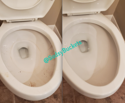 Before and After Toilet Ring Removal in Plant City, FL