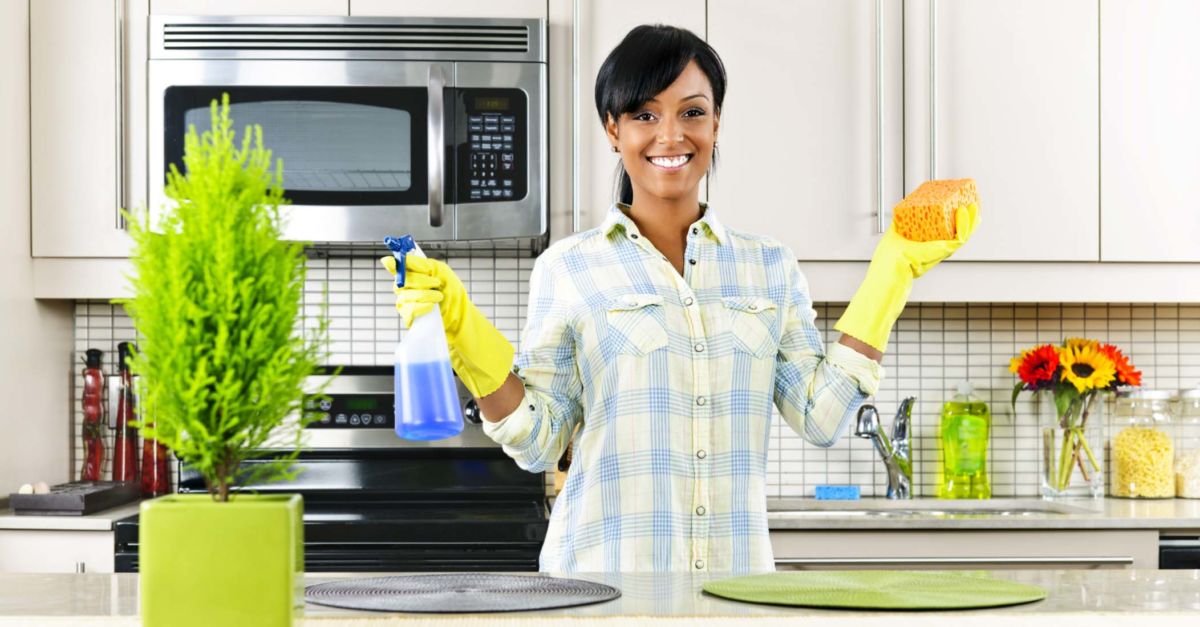 Professional Cleaning Cleaning Agency Tampa, Florida House Cleaning
