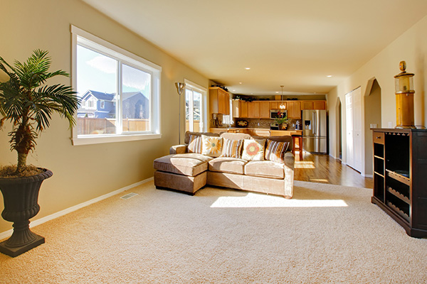 Newly Cleaned Carpet of Citrus Park FL Home After Owners Availed House Cleaning Services